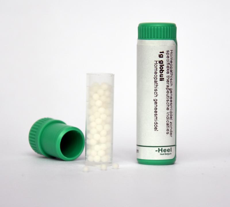 Homeoden Heel Ginkgo biloba LM2